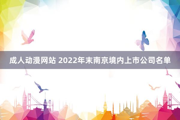 成人动漫网站 2022年末南京境内上市公司名单