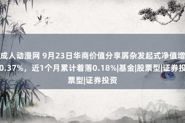 成人动漫网 9月23日华商价值分享羼杂发起式净值增长0.37%，近1个月累计着落0.18%|基金|股票型|证券投资