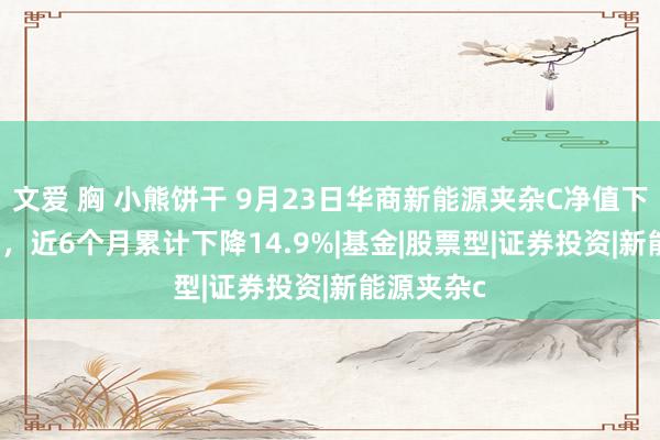 文爱 胸 小熊饼干 9月23日华商新能源夹杂C净值下降0.78%，近6个月累计下降14.9%|基金|股票型|证券投资|新能源夹杂c